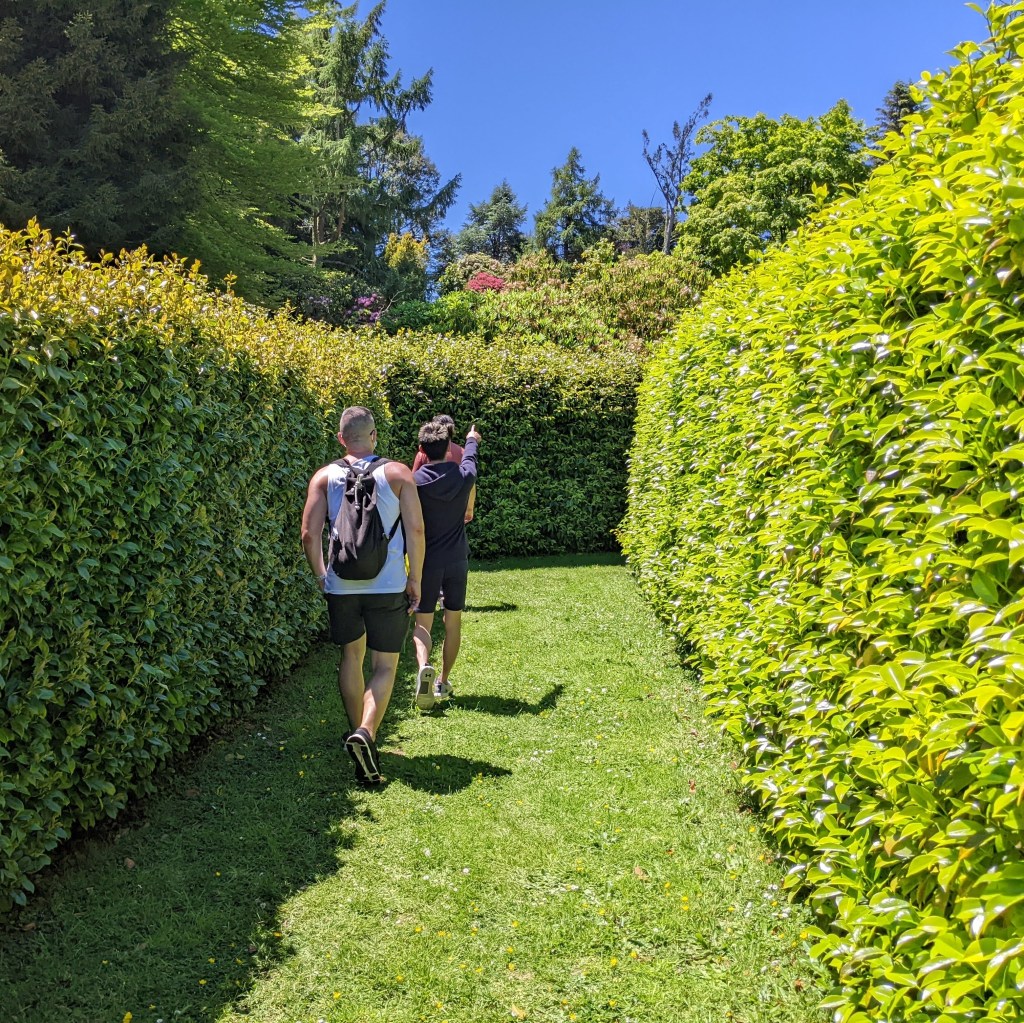 Cross Hills Gardens Country Fair - maze