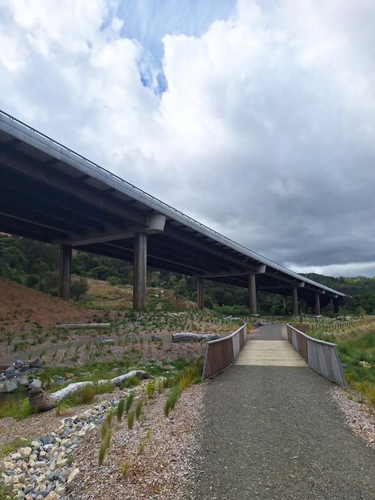 Wetlands and highway road viaduct